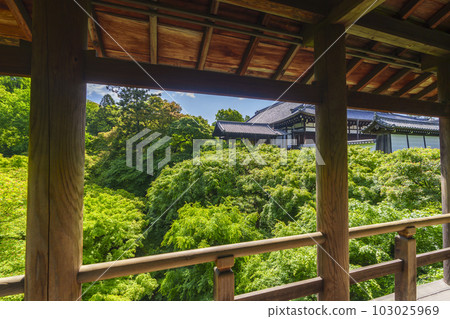 東福寺 從通天橋眺望北條通天台 新綠季節（京都市東山區） 103025969