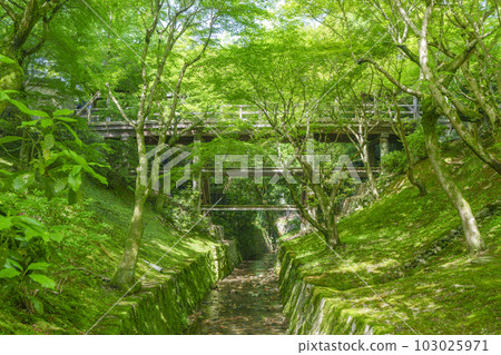 Tofuku-ji Temple Sengyokukan 新鮮的綠色花園Gaunkyo（京都市東山區） 103025971