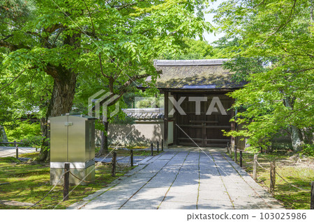 Tofuku-ji Temple Gekkamon Gate Spring Garden (Higashiyama Ward, Kyoto City) 103025986