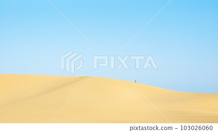 Tottori sand dunes Tottori sand dunes 103026060