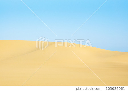 Tottori sand dunes Tottori sand dunes 103026061
