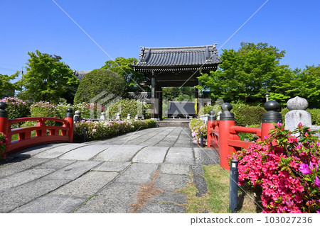 Spring Kyoto Iwakura Myomanji temple approach and main gate 103027236