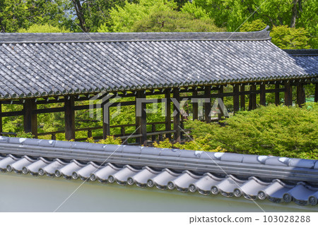 新綠環繞的東福寺聖玉館通天橋（京都市東山區） 103028288