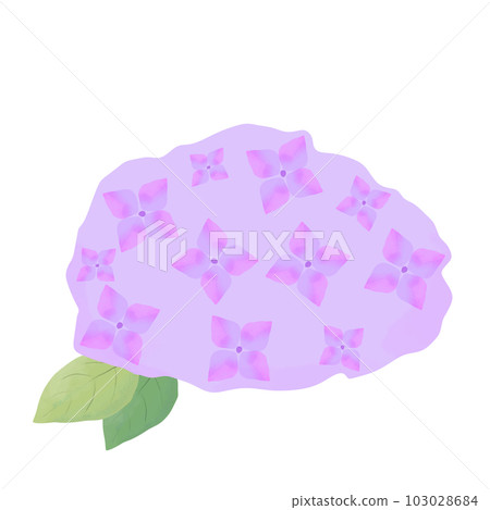watercolor style purple hydrangea icon 103028684