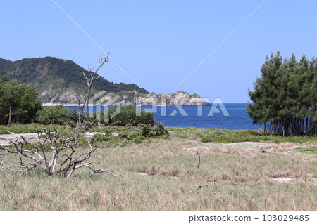 從沖繩縣座間味島慶良間群島無人島眺望座間味島 從沖繩縣座間味島慶良間群島無人島眺望座間味島 103029485