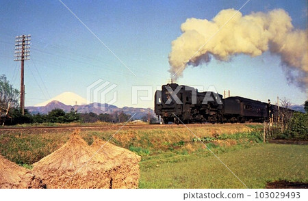 1965 Mt.Fuji and Gotemba Line D52 Passenger Train Before Electrification Shimosoga Kanagawa Prefecture Old Color Photo Record Photo 1965 Mt.Fuji and Gotemba Line D52 Passenger Train Before Electrification Shimosoga Kanagawa Prefecture Old Color Photo Record Photo 103029493