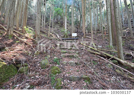 Harima Province "Shirahata Castle" Kuruwa and stone wall ruins and view 103030137