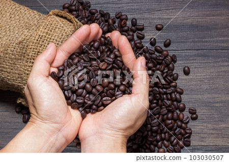 Coffee beans in hands on dark background Coffee beans in hands on dark background 103030507