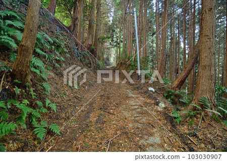 大和龍山城北條和南城來和土方工程 大和龍山城北條和南城來和土方工程 103030907