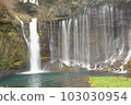Shiraito Waterfall 103030954