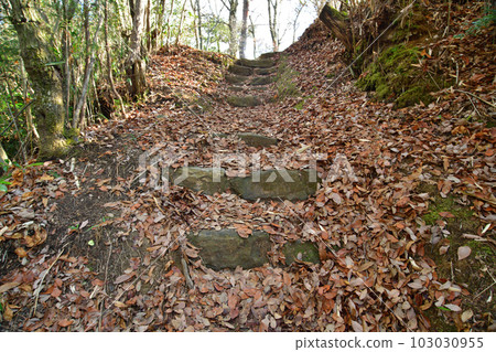 Yamato Ryuozan Castle Hokujo and Nanjo Kuruwa and Earthworks 103030955