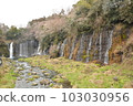 Shiraito Waterfall 103030956