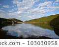 Oshidori Pond 103030958