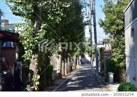 Setagaya Hyakukkei / Matsubara的迷你銀杏樹 Setagaya Hyakukkei / Matsubara的迷你銀杏樹 103031254