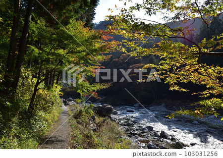 青梅市,秋天的御岳溪谷 青梅市,秋天的御岳溪谷 103031256