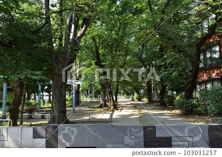 代代木上原/玉川渡槽舊運河大仙綠道五條橋遺址 103031257