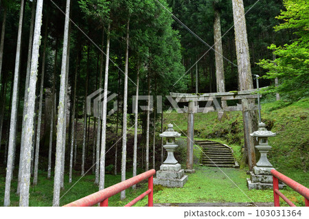 京都道風神社的 Oshikun 橋和鳥居 103031364