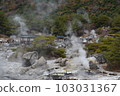 Unzen hell 103031367