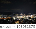 Nagasaki night view 103031375