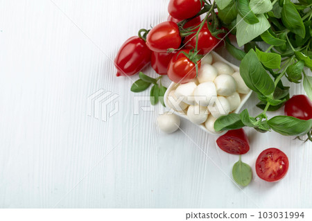 Mozzarella cheese with basil and tomatoes. Mozzarella cheese with basil and tomatoes. 103031994