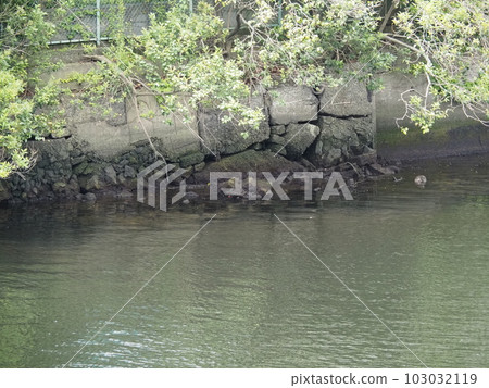 品川的船港和建築 品川的船港和建築 103032119
