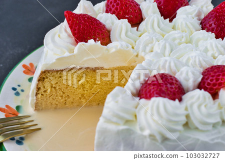 墨西哥甜點 pastel de tres leches 103032727