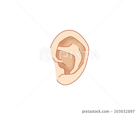 ear ear 103032897