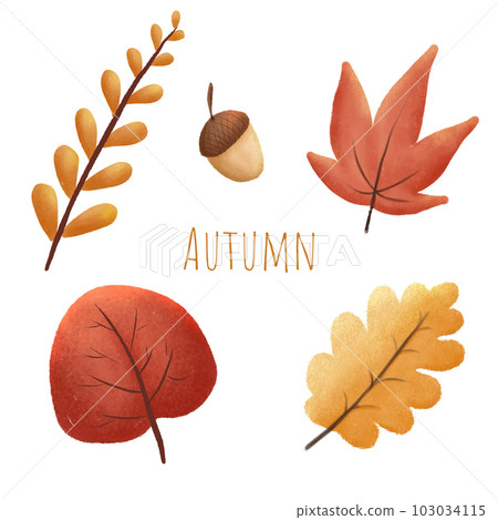 Autumn leaves or fall vector icons isolated set Autumn leaves or fall vector icons isolated set 103034115