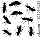 various poses of termites in black and white graphics, in motion and static,silhouette 103034139