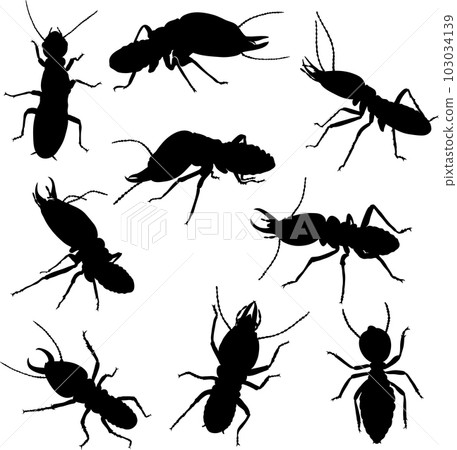 various poses of termites in black and white graphics, in motion and static,silhouette various poses of termites in black and white graphics, in motion and static,silhouette 103034139