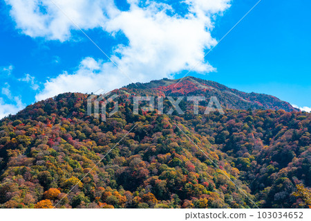 【日本名山100】從國道438號線欣賞秋天的劍山 1 德島縣三好市、美馬市、中郡中町 【日本名山100】從國道438號線欣賞秋天的劍山 1 德島縣三好市、美馬市、中郡中町 103034652