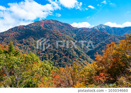 【日本名山100】秋天從國道438號線看到的劍山和大井二郎 德島縣三好市、美馬市、中區 【日本名山100】秋天從國道438號線看到的劍山和大井二郎 德島縣三好市、美馬市、中區 103034660