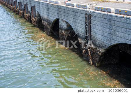 碼頭形象 碼頭碼頭 港口風光 103036001