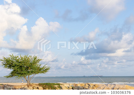 Tropical evening sea overlooking people and tree. Tropical evening sea overlooking people and tree. 103036376