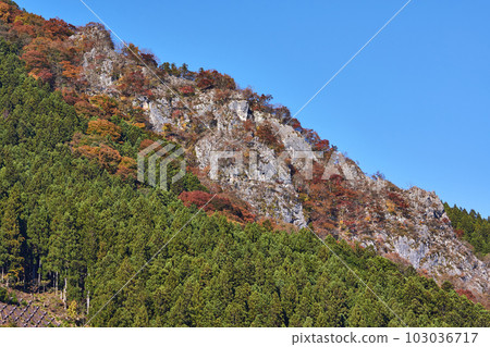 Chichibu, Saitama Prefecture Autumn leaves mountain Chichibu, Saitama Prefecture Autumn leaves mountain 103036717