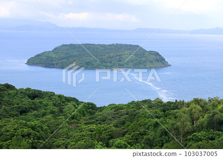 鹿兒島縣指宿市魚見岳及其周邊風景 103037005