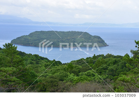 鹿兒島縣指宿市魚見岳及其周邊風景 103037009