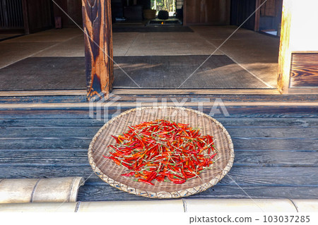 Dried hot peppers on the veranda Dried hot peppers on the veranda 103037285