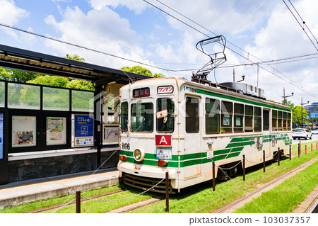 A streetcar runs through Kumamoto City [ Image of Kumamoto City ] 103037357