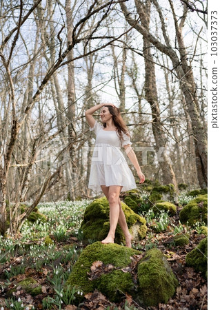 Snowdrops galanthus woman. She stands in a white dress on a meadow with snowdrops in a spring forest 103037373