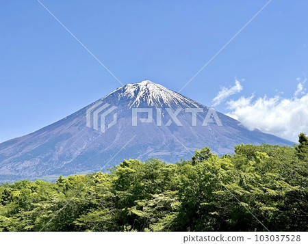 春天的富士山風景 春天的富士山風景 103037528