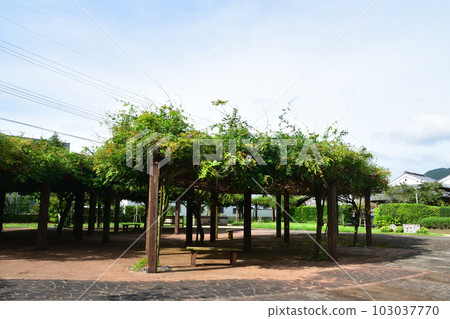 鹿兒島縣南九州市知覽武士宅邸及周邊風景 103037770