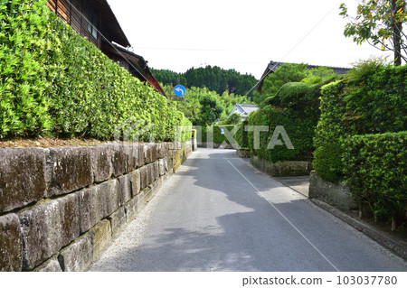 Samurai residence and surrounding scenery in Chiran, Minamikyushu City, Kagoshima Prefecture 103037780
