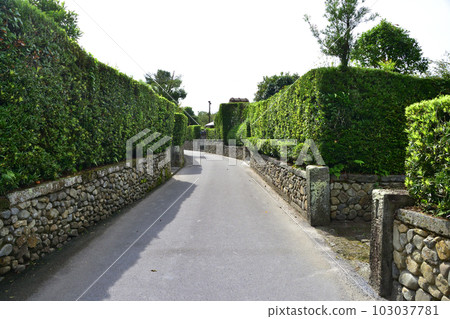 鹿兒島縣南九州市知覽武士宅邸及周邊風景 103037781