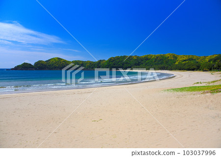 伊豆半島 南伊豆 靜岡縣南伊豆町 擁有美麗的白色沙灘、綠色松樹和弓形海岸線、平靜的海浪和海風的風景的弓濱海灘 (1) 伊豆半島 南伊豆 靜岡縣南伊豆町 擁有美麗的白色沙灘、綠色松樹和弓形海岸線、平靜的海浪和海風的風景的弓濱海灘 (1) 103037996