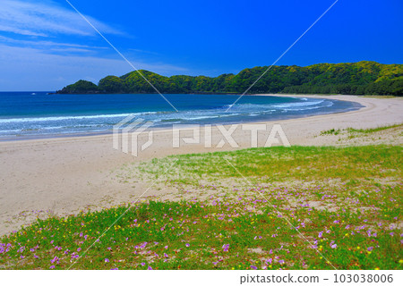 伊豆半島、南伊豆、閃閃發光的弓濱、潔白沙灘和清澈海水打造的美麗海岸風光 靜岡縣南伊豆町 (3) 伊豆半島、南伊豆、閃閃發光的弓濱、潔白沙灘和清澈海水打造的美麗海岸風光 靜岡縣南伊豆町 (3) 103038006