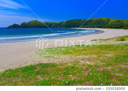 Izu Peninsula, Minamiizu, Glittering Yumigahama, beautiful coastal scenery created by white sand beach and clear sea Minamiizu Town, Shizuoka Prefecture (5) Izu Peninsula, Minamiizu, Glittering Yumigahama, beautiful coastal scenery created by white sand beach and clear sea Minamiizu Town, Shizuoka Prefecture (5) 103038008