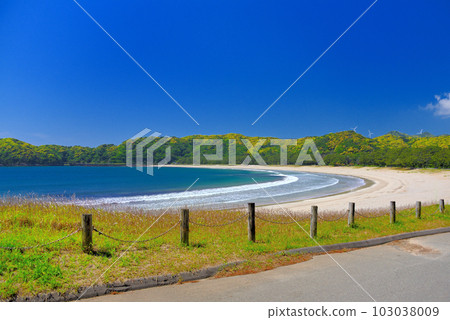 伊豆半島、南伊豆、閃閃發光的弓之濱、白沙灘和清澈的海水打造的美麗海岸風光 靜岡縣南伊豆町 (6) 103038009