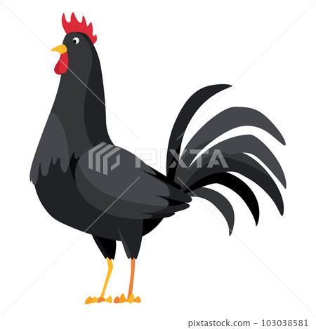 Farm cock icon. Adorable cock animal at dawn. Colorful rooster, poultry farming, vector Illustration on white background 103038581