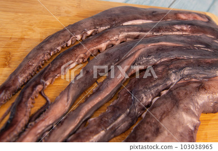 Whole fresh raw octopus on cutting board Whole fresh raw octopus on cutting board 103038965